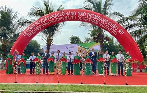 First fragrant rice shipment exported to EU under EVFTA